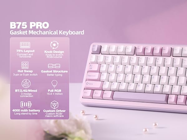 b75 pro