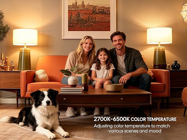 Remote control bulbs
