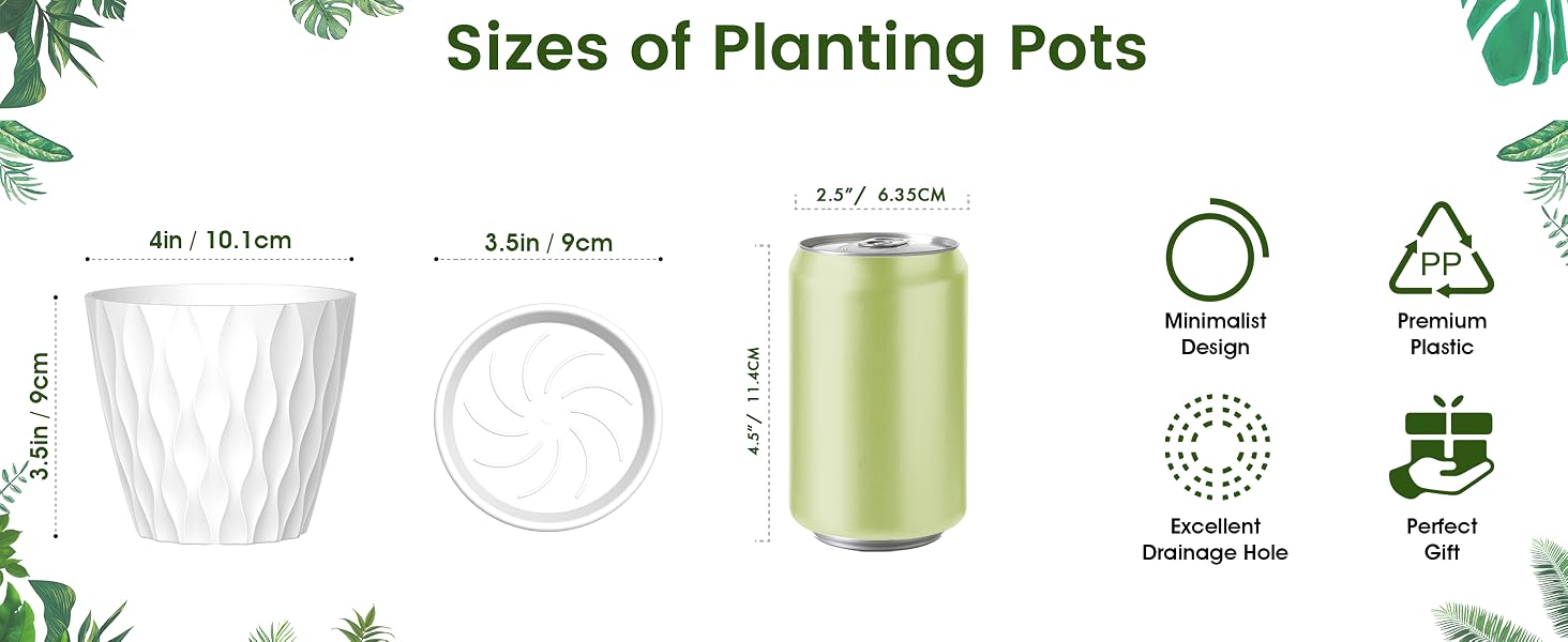 4 inch plastic nursery pots for small succulents, herbs, or medium indoor plants.