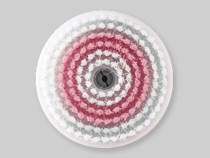 electric facial brush