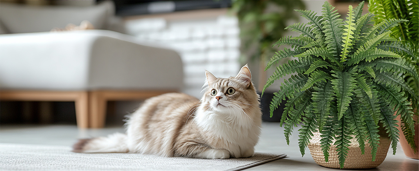 faux ferns