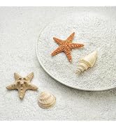 NUPICK 0.4-0.8mm White Aquarium Sand, 3lbs Substrate for Fish Tank, Garden | Decorative Fish Tank...