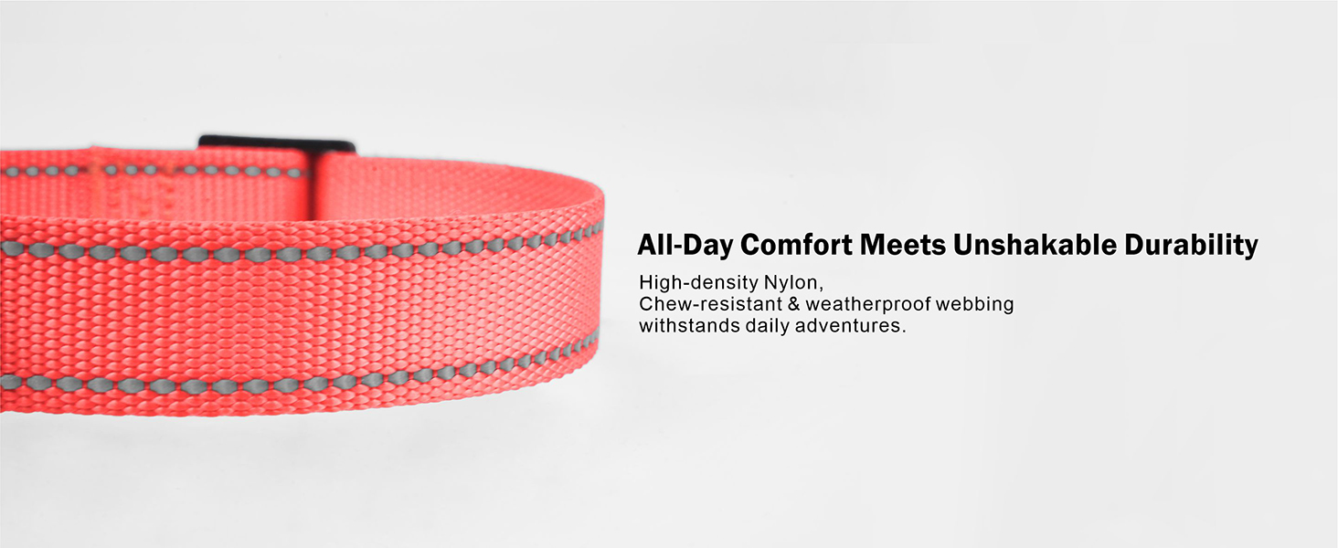 nylon dog collar