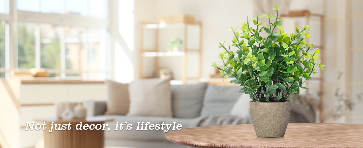 4 potted green plants