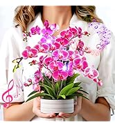 Birthday Cards, Mothers Day Cards with Light and Music, Orchid Oasis, 10 Inch Life Sized Forever ...