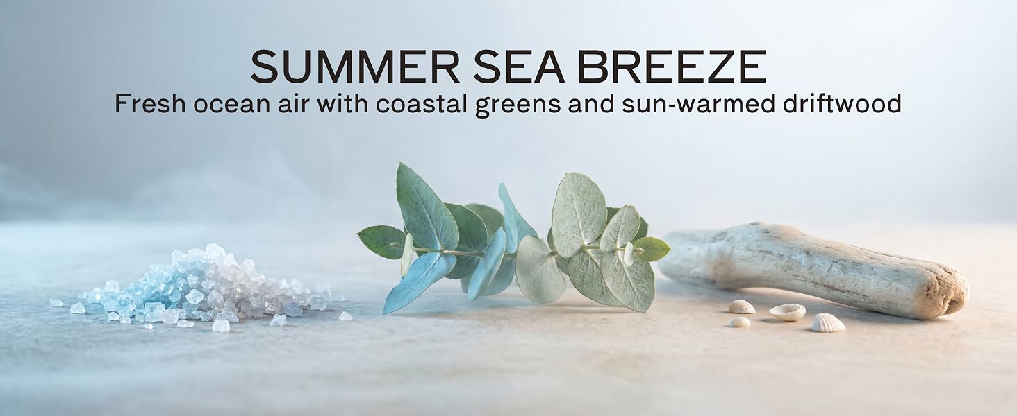 SUMMER SEA BREEZE- Fresh ocean air with coastal greens and sun-warmed driftwood