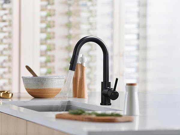 Kitchen Faucet