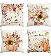 AVOIN colorlife Fall Pumpkin Wheat Cotton Sunflower Jar Autumn Thanksgiving Throw Pillow Covers, ...