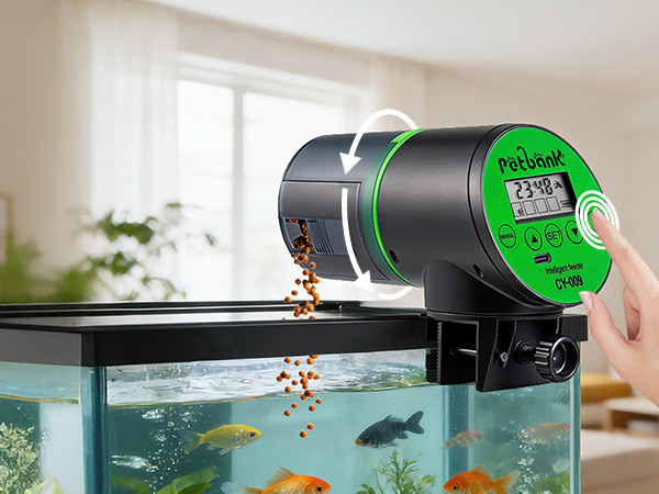 bottom feeder fish food feeder