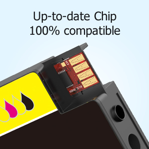 upgraded chip