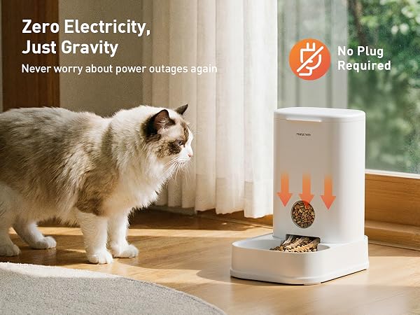 cat food dispenser