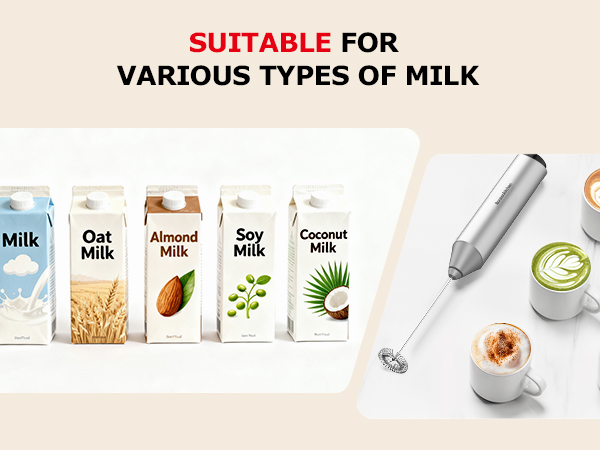 Handheld Milk Frother