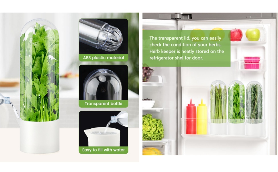 Herb Saver Pod Cilantro Containers for Refrigerator