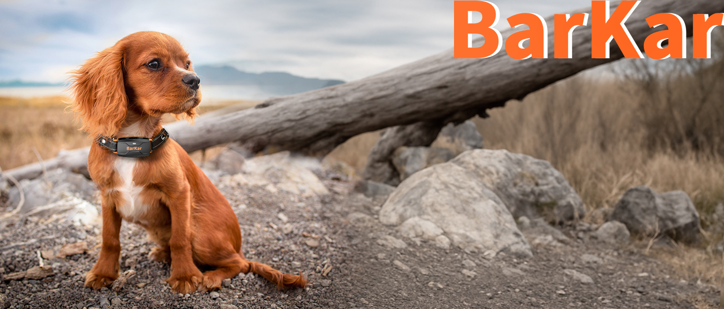 dog barking collar
