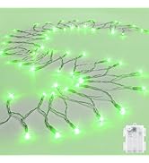 cshare String Lights Outdoor Waterproof 9.8ft 30 LED, Green Battery Operated Halloween Lights wit...