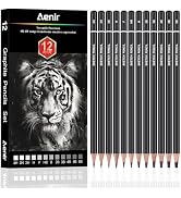 Charcoal Pencils for Drawing, Set of 12 Drawing Pencils for Sketching Medium (6B - 4H), Artist Gr...