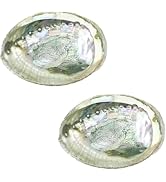 2Pcs Colorful Fashionable Large Abalone Shell Bowl, 4-4.5 Inch Exquisite Natural Sea Shell Smudge...