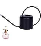 Remiawy Watering Can Indoor Outdoor Stainless Steel Watering Cans for House Plants Long Spout Wat...