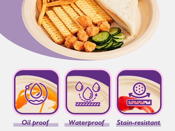Compostable Paper Plates