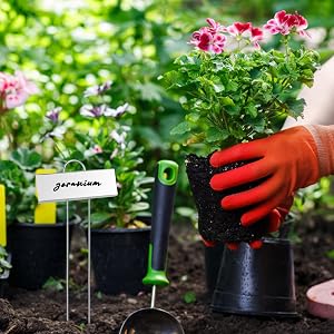 plant labels