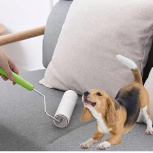 lint roller for pet hair