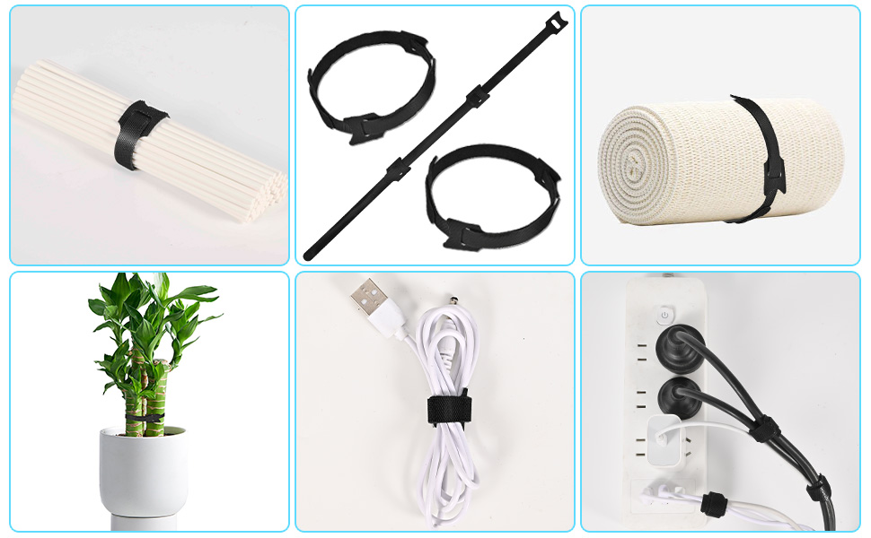 Unlock Endless Organization Possibilities