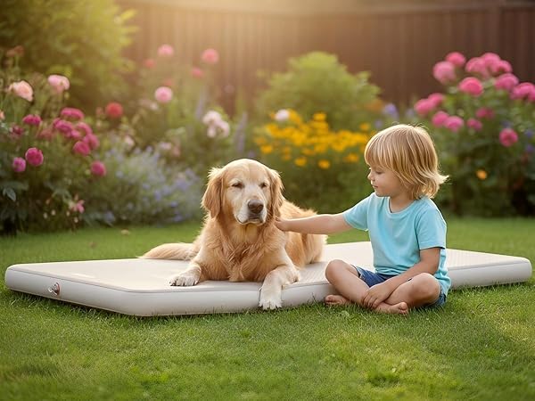 Playing in the yard