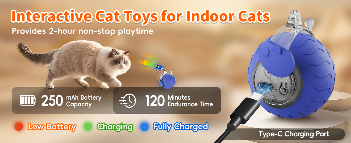 interactive cat toy ball