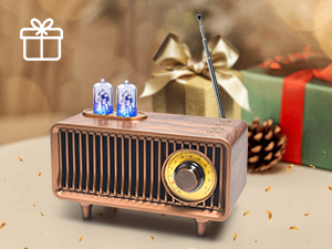 Bluetooth Speaker Gift