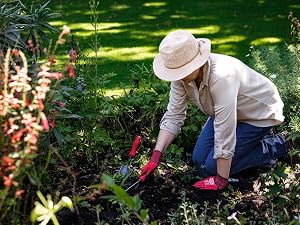 Garden Tools
