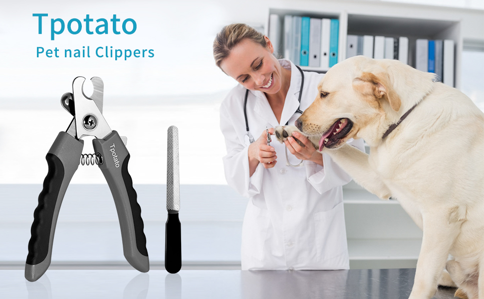dog nail clippers