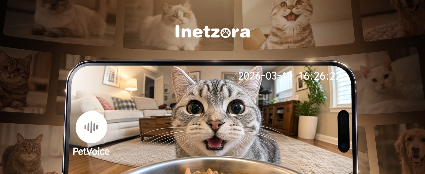 automatic cat feeder with camera