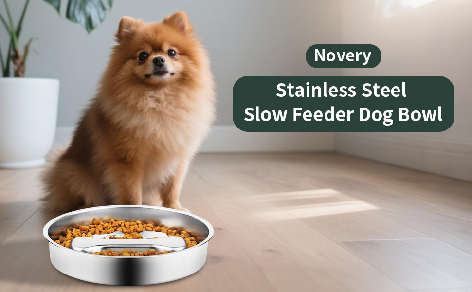 dog slow feeder bowl
