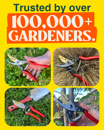 bypass pruner gardening shears for heavyduty bypass pruning