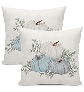 DAFENA Fall Pillow Covers 18x18 Inch 2 Pcs Watercolor Blue Pumpkin Decor Throw Pillows Autumn Cut...