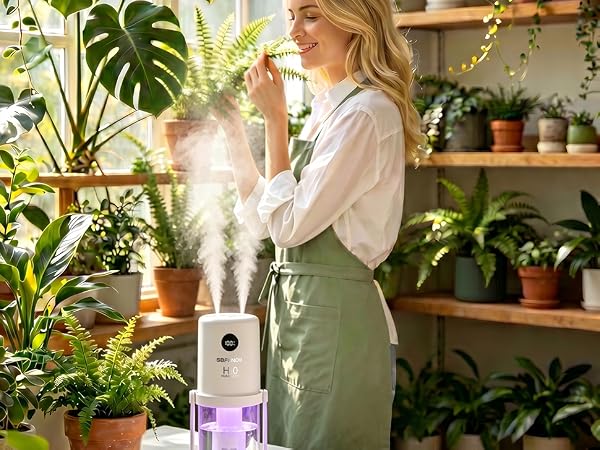 Dual Mist Portable Humidifier