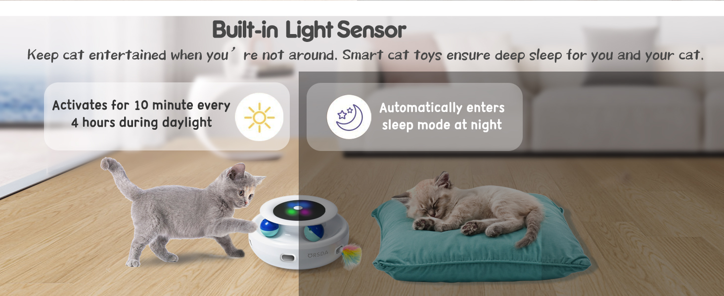 cat toys