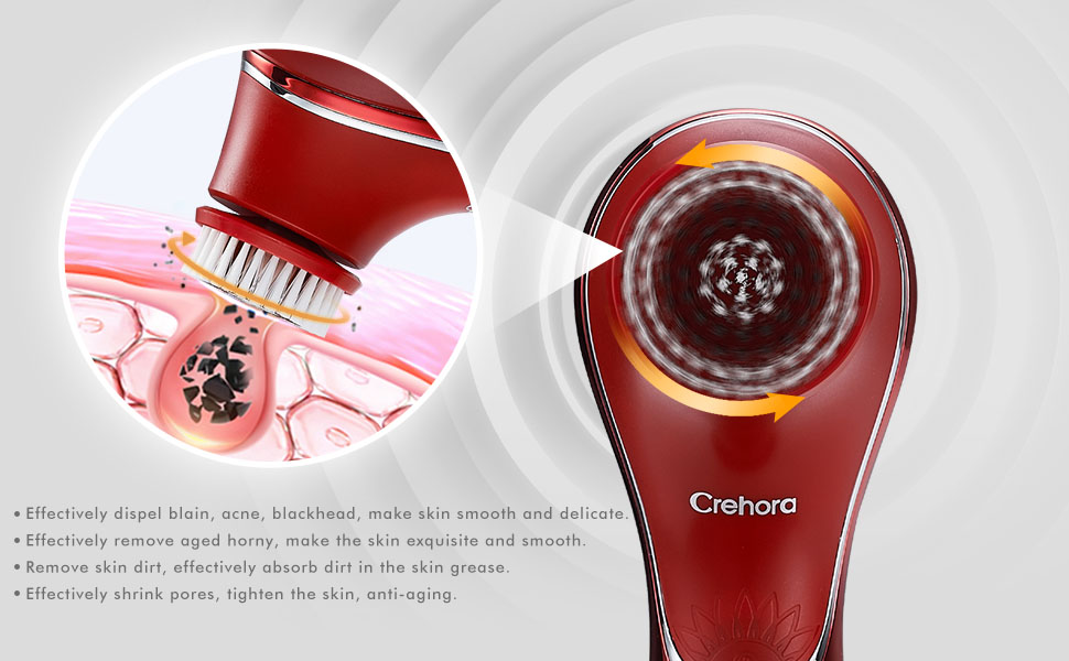 face brush
