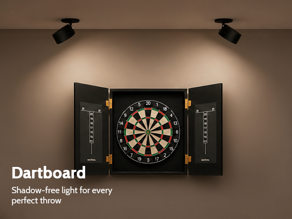 dartboard light