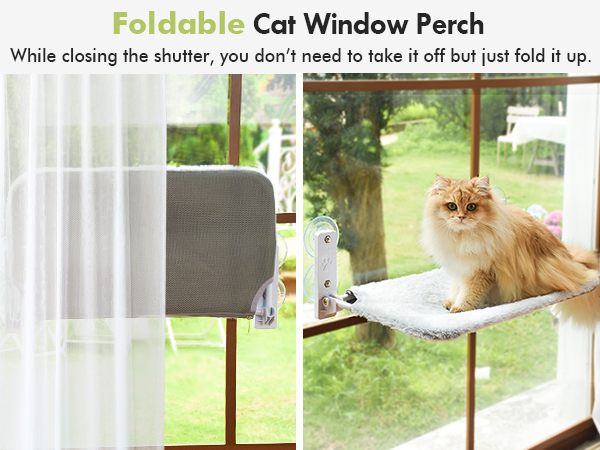 cat window perch