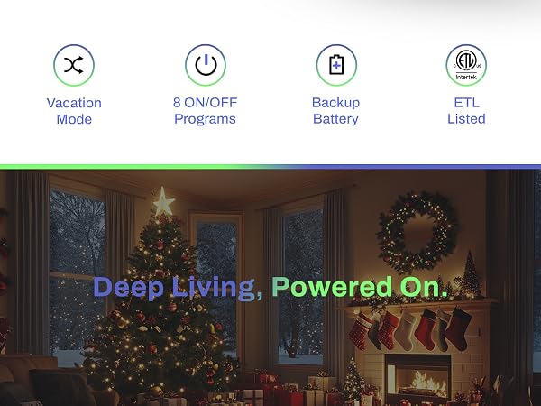 digital timer
