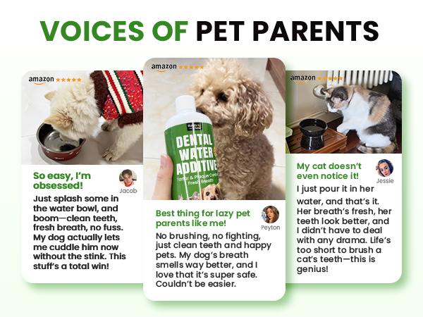 dog mouthwash