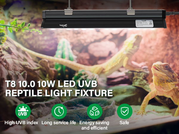 HO UVB Lighting Combo Kit