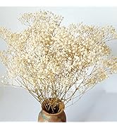 Dried-Babys-Breath-Flowers-Bouquet-17 inch 2500+ Ivory White Flowers, Natural Gypsophila Branches...