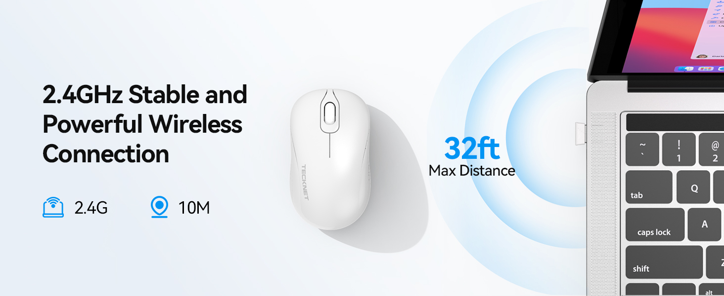 mouse