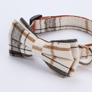 bow dog collar