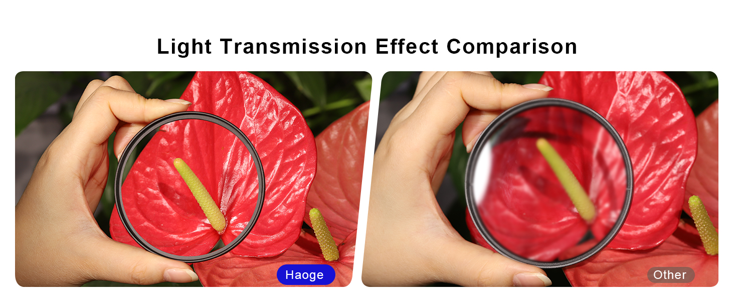 UV Filter