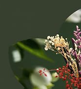 Reed Diffuser
