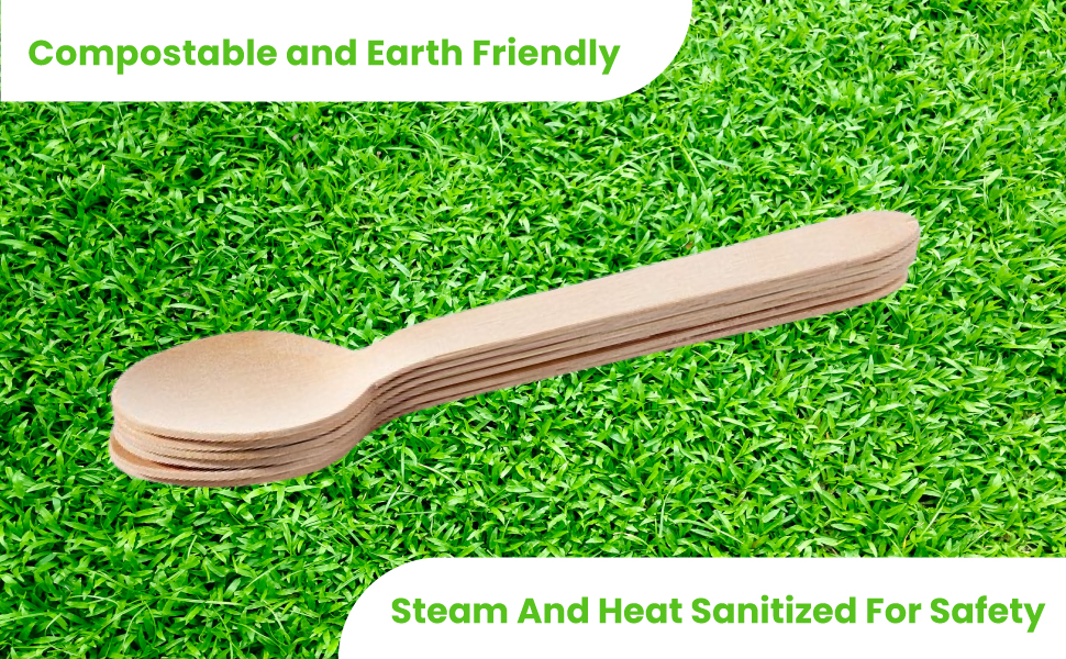 Disposable Wooden Spoons