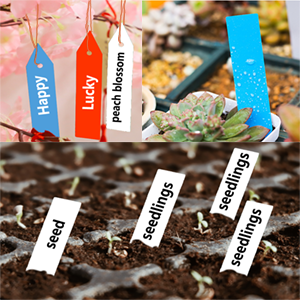 Plastic Plant Labels for seeding